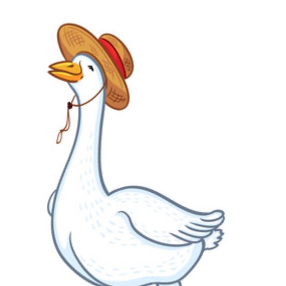 sprucedgoose